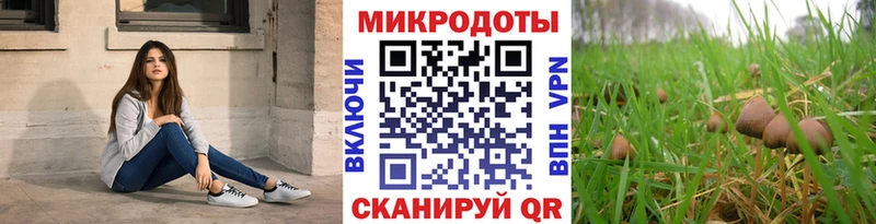 Псилоцибиновые грибы GOLDEN TEACHER Терек
